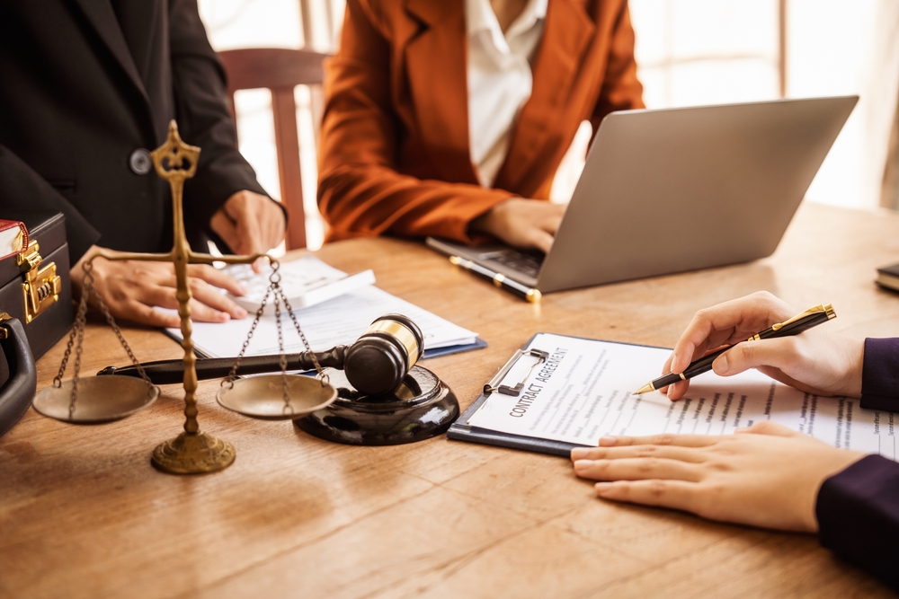 gestión de portafolio de marcas ejemplo